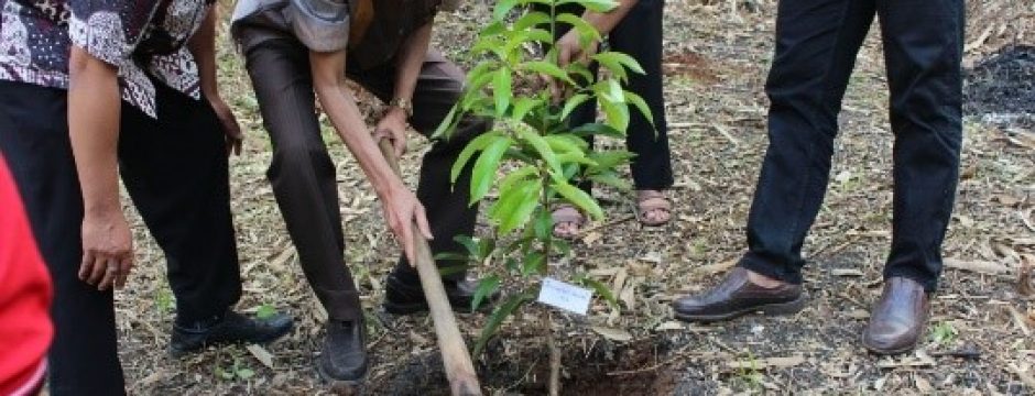 aksi sosial smk aryasatya penanaman pohon langka