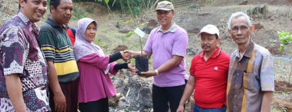 kegiatan smk aryasatya untuk penanaman 100 pohon di Desa Wlahar Wetan